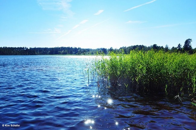 Album 4 - Impressionen