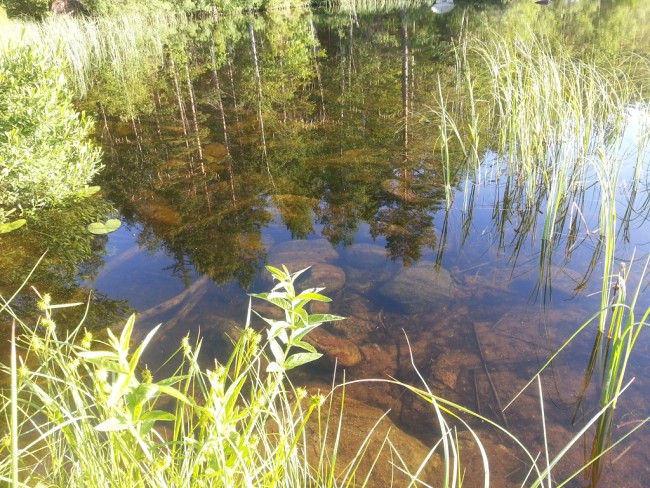 Album 4 - Impressionen
