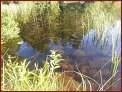 Impressionen