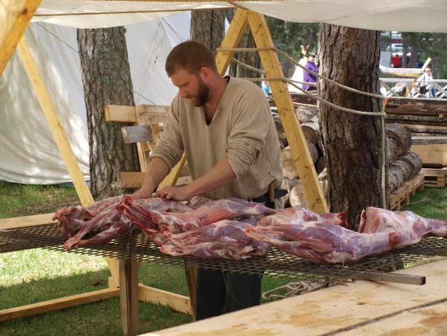 Album 6 - Wikingermarkt Vetlanda