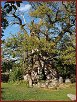 Holzstadt Eksjö