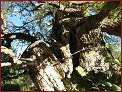 Holzstadt Eksjö