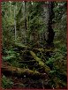 Holzstadt Eksjö