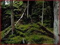Holzstadt Eksjö