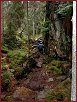 Holzstadt Eksjö