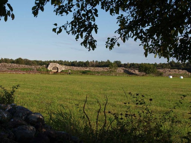 Album 8 - Öland